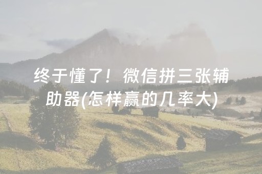 终于懂了！微信拼三张辅助器(怎样赢的几率大)