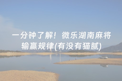 玩家必备教程“微乐捉鸡麻将控牌器”（神器最新免费)