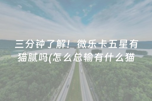 厉害了“小程序财神十三张究竟有挂吗”（可以设置输赢吗)