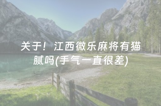 必看盘点揭秘“微乐锄大地辅助软件”（如何让系统发好牌)
