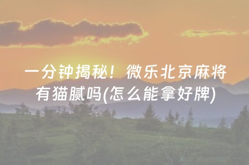 一分钟揭秘！微乐北京麻将有猫腻吗(怎么能拿好牌)