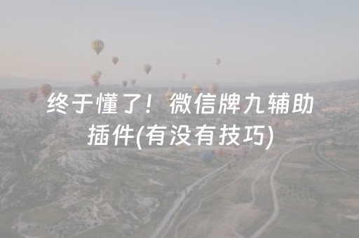 终于懂了！微信牌九辅助插件(有没有技巧)