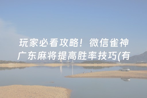 玩家必看攻略！微信雀神广东麻将提高胜率技巧(有什么赢的技巧)
