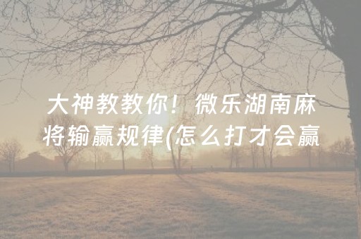 关于“微乐海南麻将专用辅助神器”（AI辅助胡牌规则)
