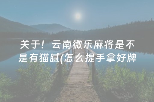 关于！云南微乐麻将是不是有猫腻(怎么提手拿好牌)