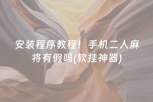 安装程序教程！手机二人麻将有假吗(软挂神器)