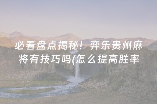 必看盘点揭秘！弈乐贵州麻将有技巧吗(怎么提高胜率)
