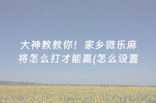 关于“微乐湖北麻将助赢神器购买”（通用挂软件多少钱)