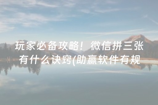 安装教程“微信小程序财神十三张辅助器工具”（辅助器下载)