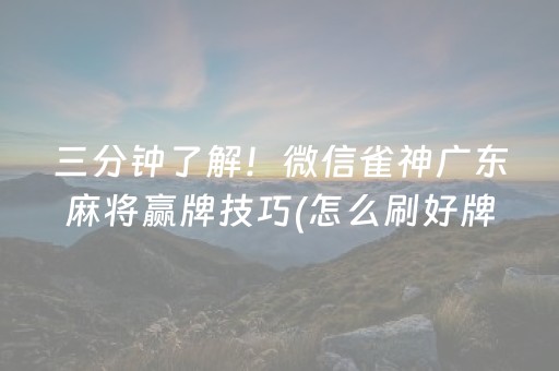 盘点十款“微乐福建麻将怎么设置会赢”（辅助神器免费)