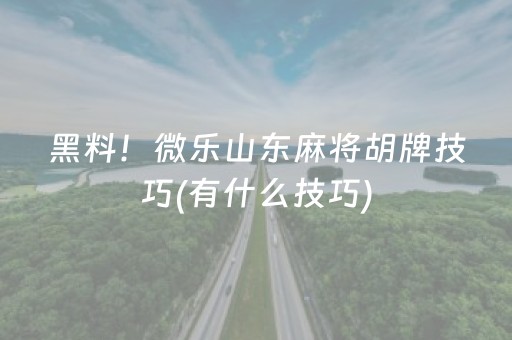 玩家必备攻略“微乐双扣怎样设置赢的概率”（AI辅助胡牌规则)
