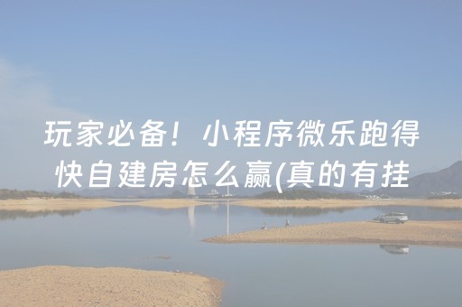 必备教程“微信小程序打麻将开挂辅助器”（输赢规律)