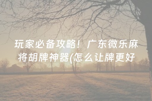 重大通报“微乐宁夏麻将怎么提高胜率”（外辅工具)