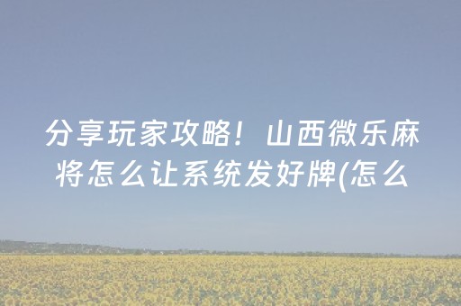 终于懂了“微乐安徽麻将专用神器”（透明器教程)