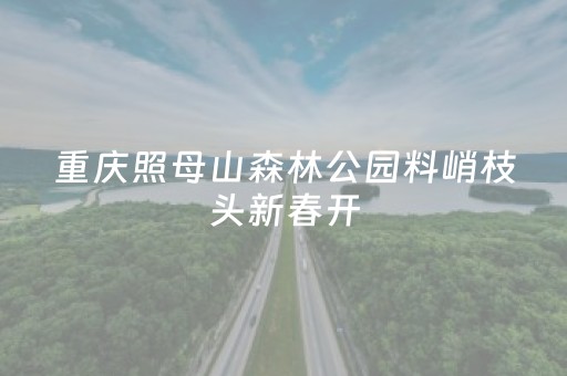 必看盘点揭秘“雀神麻将输赢规律”（怎么能让牌好一点)