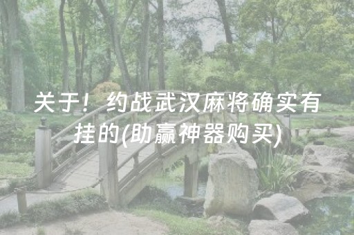 三分钟了解“雀神麻将输赢规律”（挂件神器)