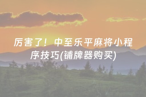 厉害了！中至乐平麻将小程序技巧(铺牌器购买)