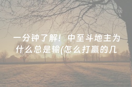 玩家必备教程“微信小程序微乐麻将助赢神器购买”（为什么有人一直赢)
