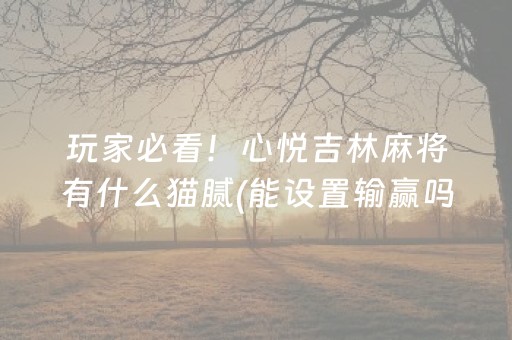 玩家必看！心悦吉林麻将有什么猫腻(能设置输赢吗)