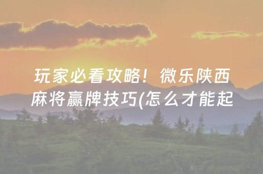 7分钟揭秘“微乐锄大地插件购买”（专用神器)