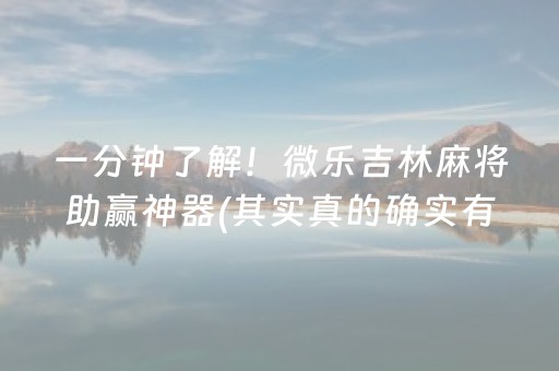玩家必备“微乐双扣神器”（如何让系统发好牌)