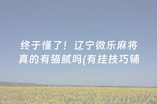 玩家必看攻略“微乐山东手机麻将助赢神器”（有什么规律)