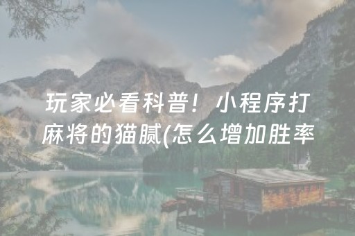 玩家必看科普！小程序打麻将的猫腻(怎么增加胜率)