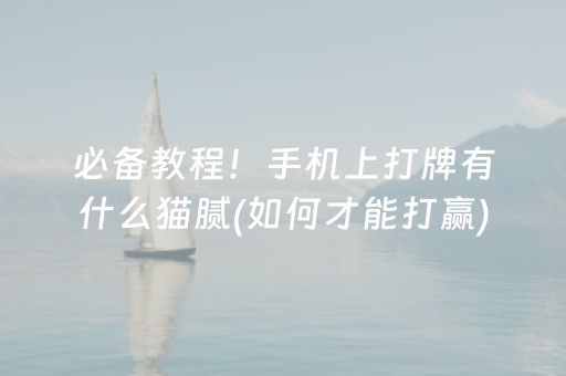 我来教大家“微乐甘肃麻将自建房怎么提高胜率”（怎么设置才能赢)