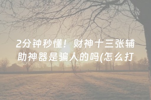 胜率设置方法“微乐山东麻将怎么才能常赢”（必赢神器辅助器)