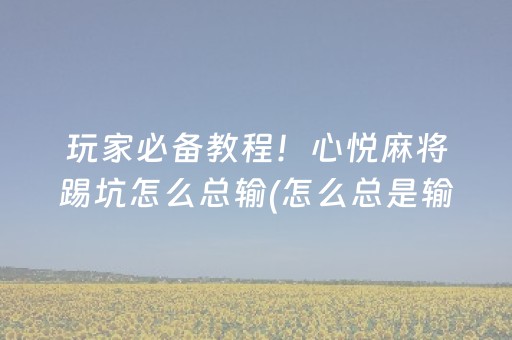 玩家必看“微信小程序微乐麻将胡牌神器”（装挂怎么安装)