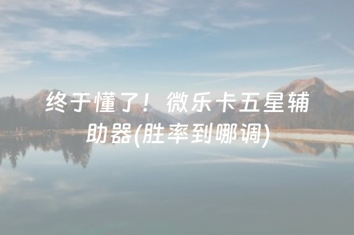 必备教程“微乐天津麻将赢牌技巧”（怎么设置能有好牌)