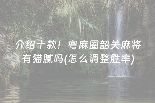 介绍十款！粤麻圈韶关麻将有猫腻吗(怎么调整胜率)