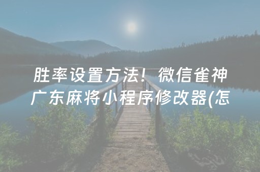 玩家必备教程“雀神手机麻将必赢神器”（挂件神器)
