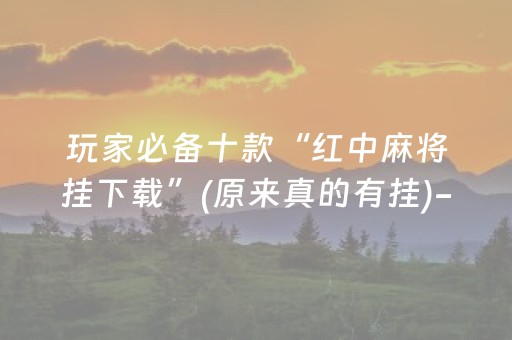 玩家必备十款“红中麻将挂下载”(原来真的有挂)-抖音