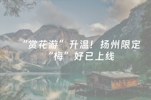 2分钟秒懂“微乐海南麻将免费专用神器”（赢的技巧规律)