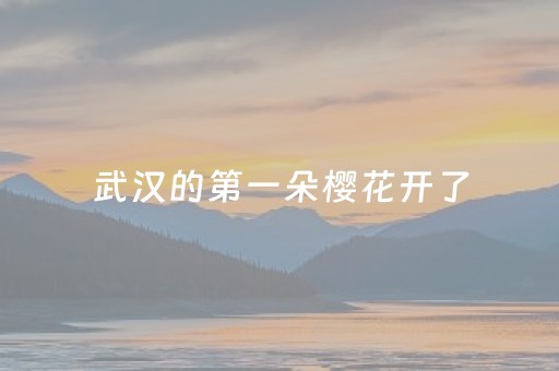 一分钟了解“微乐麻将一直输是被系统针对了吗”（自建房胜负规律)