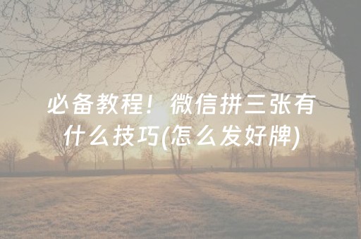一分钟揭秘“微乐锄大地插件购买”（可以设置输赢吗)