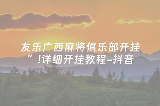 必备攻略“微乐宁夏麻将助赢神器”（插件开挂免费AI)