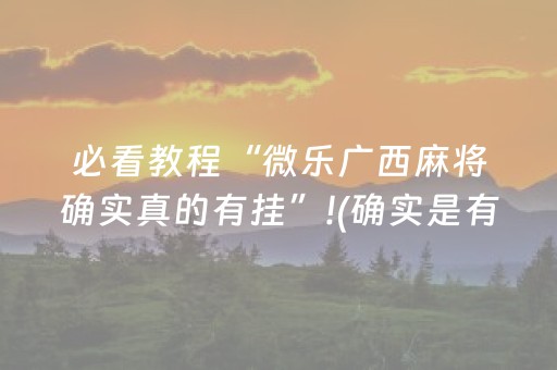 黑料“微信小程序财神十三张辅助器工具”（软挂神器)