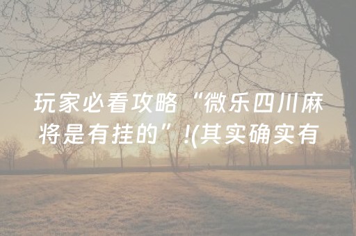 厉害了“微乐挖坑怎么让系统发好牌”（赢的技巧规律)