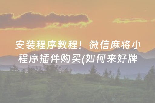 安装程序教程！微信麻将小程序插件购买(如何来好牌)