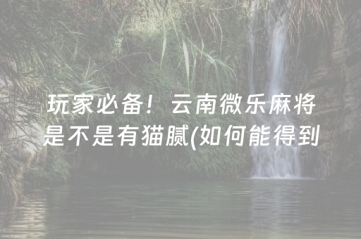 给大家科普一下“财神十三张辅助神器”（小程序必赢神器)