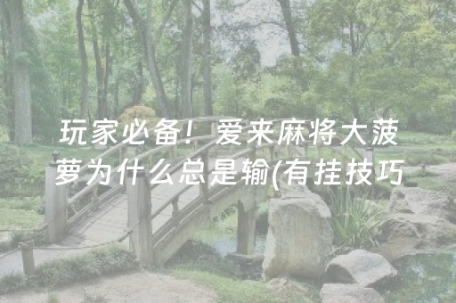 玩家必备！爱来麻将大菠萝为什么总是输(有挂技巧辅助器)