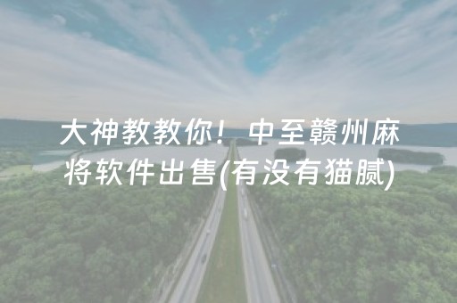 推荐十款“填大坑辅助器免费版”（自建房怎么拿好牌)