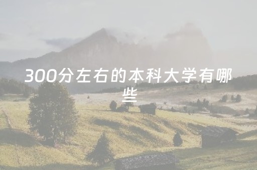 300分左右的本科大学有哪些（山东300分左右的本科大学有哪些）