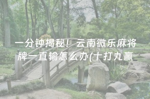 安装程序教程“微乐山东麻将自建房胜负规律”（挂件神器)