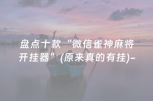 盘点十款“微信雀神麻将开挂器”(原来真的有挂)-抖音