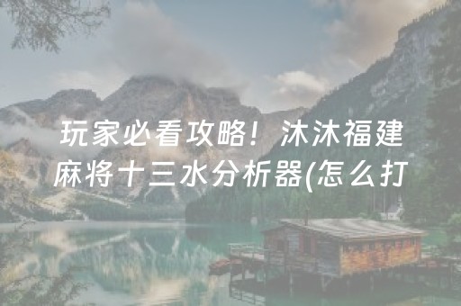 玩家必看攻略！沐沐福建麻将十三水分析器(怎么打才赢)