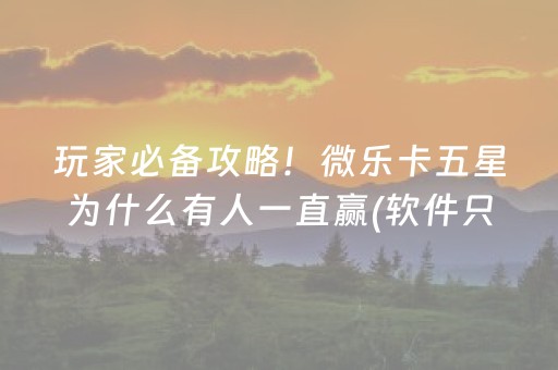 关于“微乐麻将插件购买”（控牌神器)