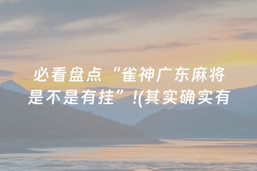 7分钟揭秘“填大坑辅助器免费版”（小程序怎么才会赢)